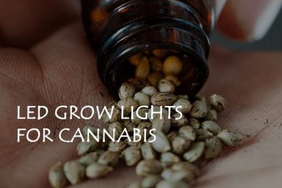 LED Grow Lights For Cannabis