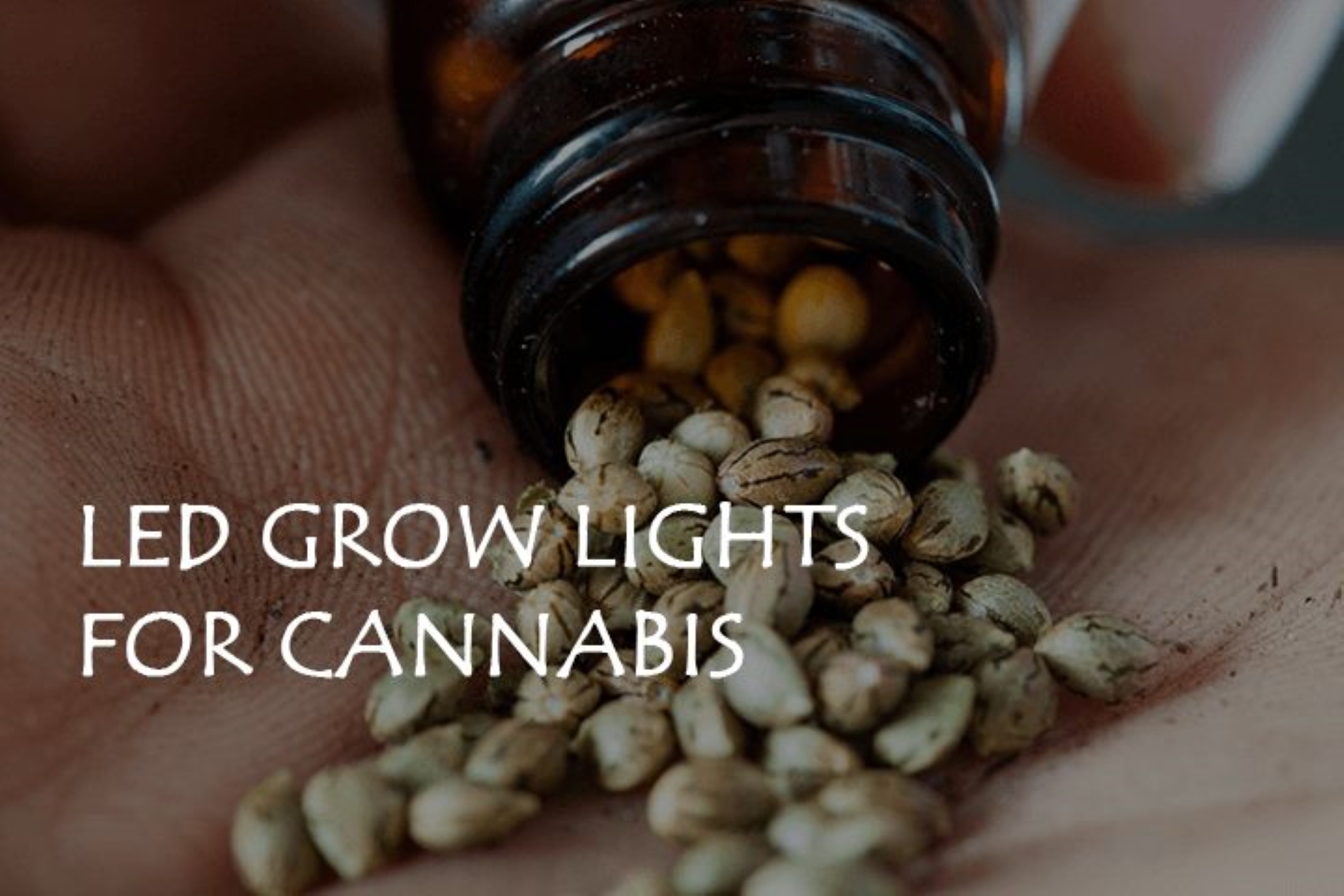 What You Need To Know About LED Grow Lights For Cannabis