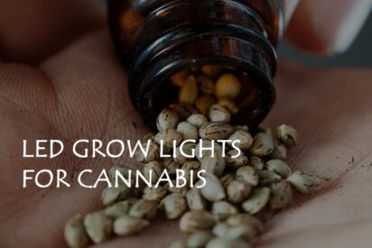 led grow lights for cannabis