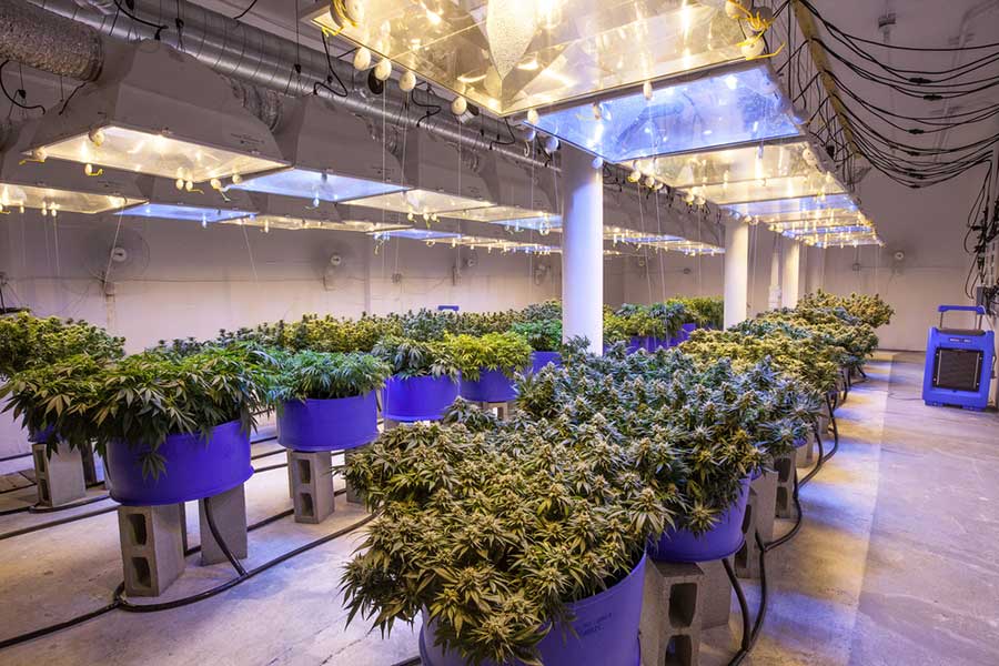 Air Circulation and Exhaust Tutorial for Your Marijuana Grow Room