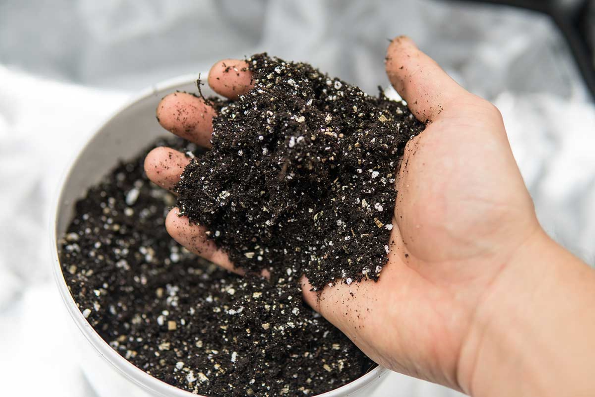 How to Grow Cannabis with Organic Super Soil