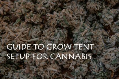 guide to grow tent setup for cannabis