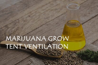 marijuana grow tent ventilation