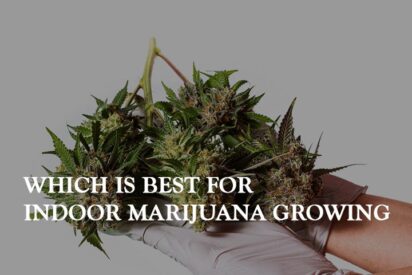 which is best for indoor marijuana growing