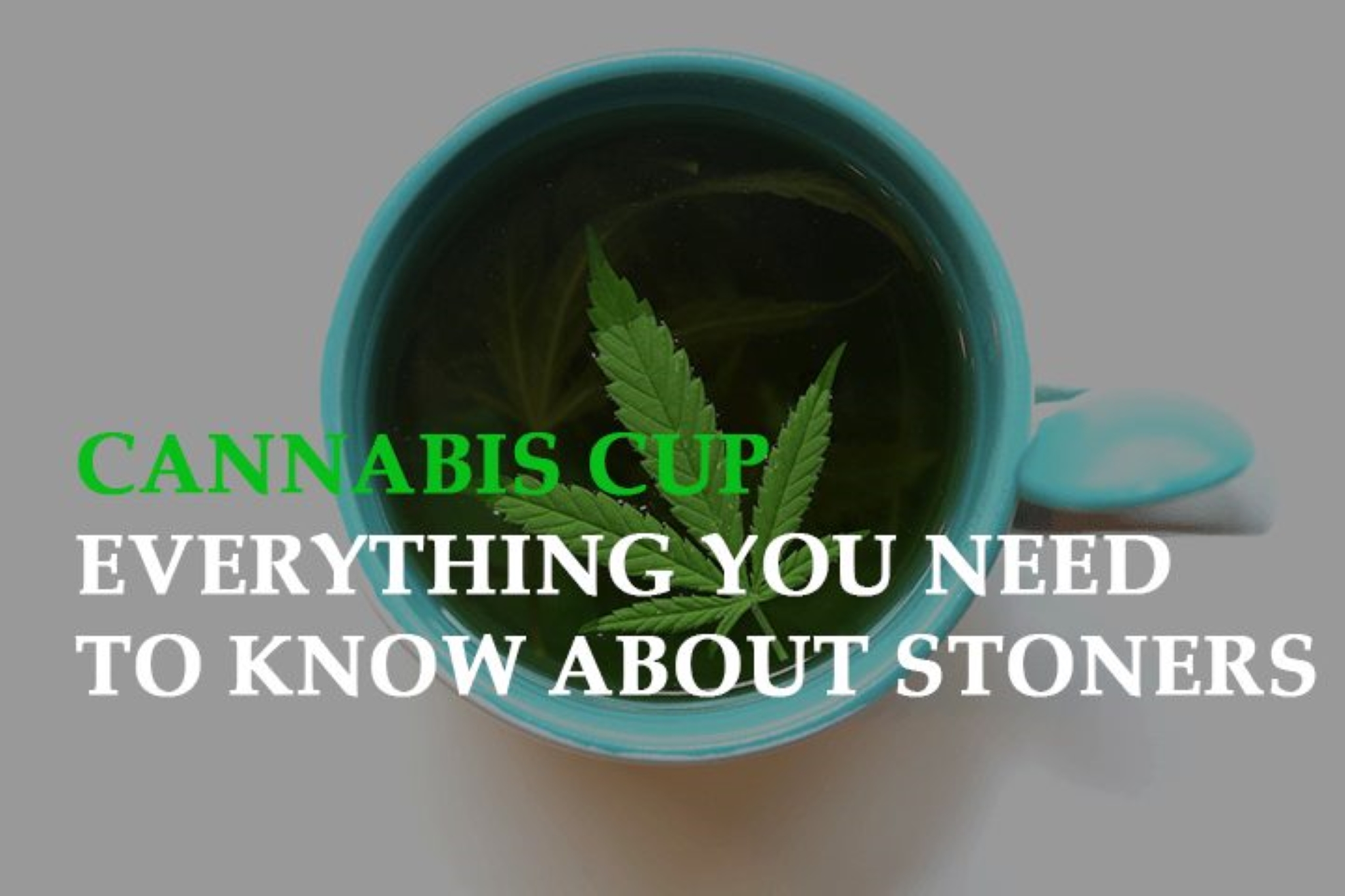 Cannabis Cup: Everything You Need to Know About Stoners' New Favorite Show