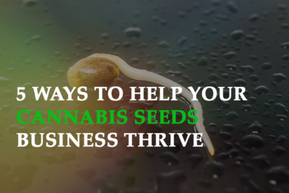 Cannabis Seeds at wholesale prices 5 ways to help your Cannabis Seeds business thrive