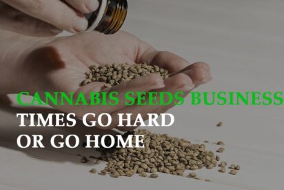 Cannabis Seeds business times go hard or go home