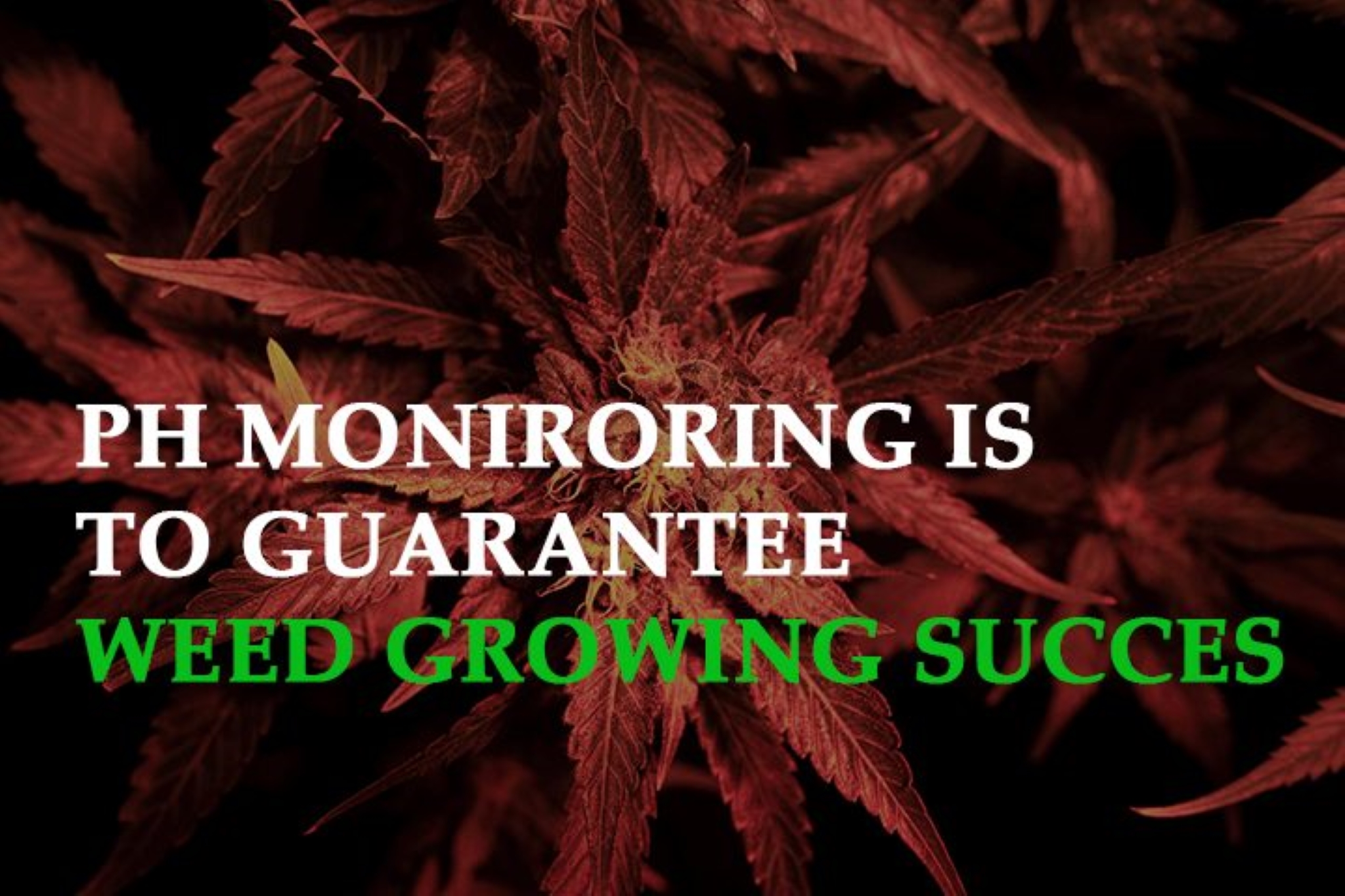 Why PH Monitoring Is Essential to Guarantee Weed Growing Success