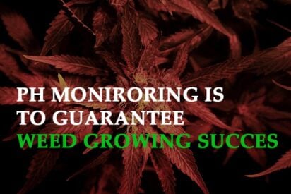 ph monitoring is essential to guarantee weed growing success