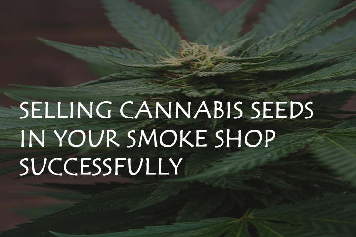 5 Tips for Selling Cannabis Seeds in your Smoke Shop Successfully