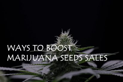 3 Ways to Boost Cannabis Seeds Sales – Tips for Seed Banks