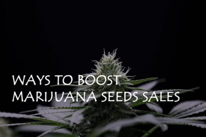 ways to boost marijuana seeds sales
