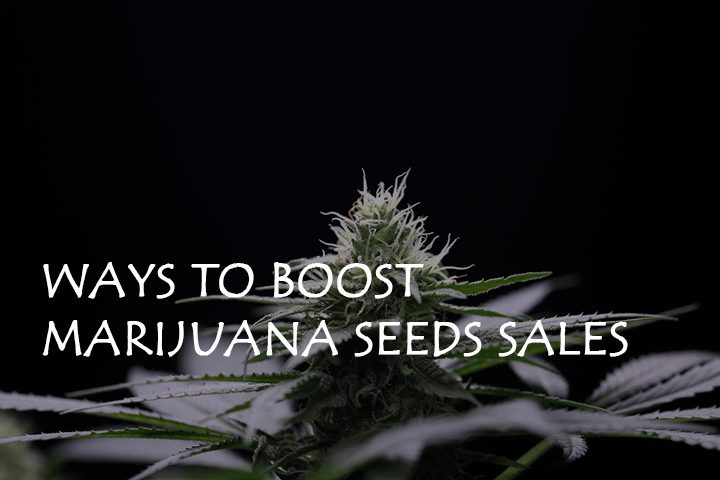 ways to boost Cannabis Seeds sales