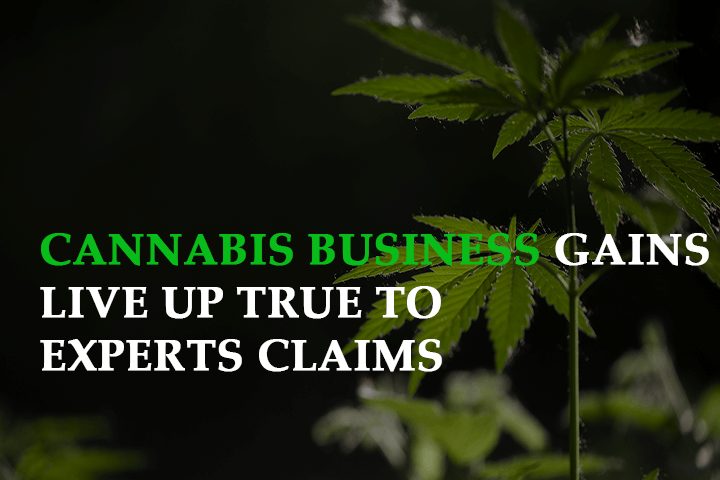 Will the Expected Cannabis Business Gains Live Up True to Experts’ Claims?