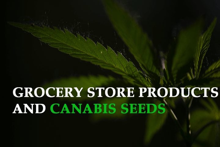 Your Grocery Store Products and Cannabis Seeds Will Get along like Coffee and Milk: Here are the Top 3 Reasons Why