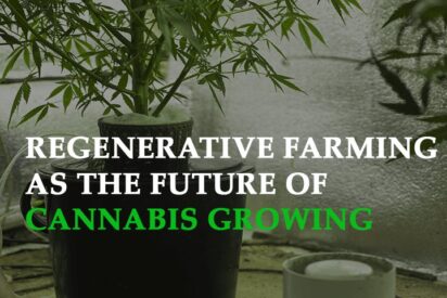 the science behind regenerative farming as the future Of cannabis growing