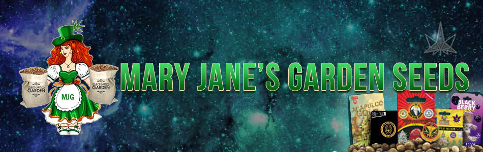 Mary Janes Garden Seeds