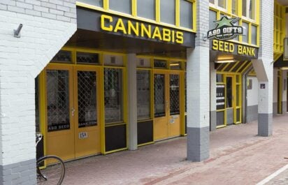 Can You Trust Online Cannabis Seed Banks 1