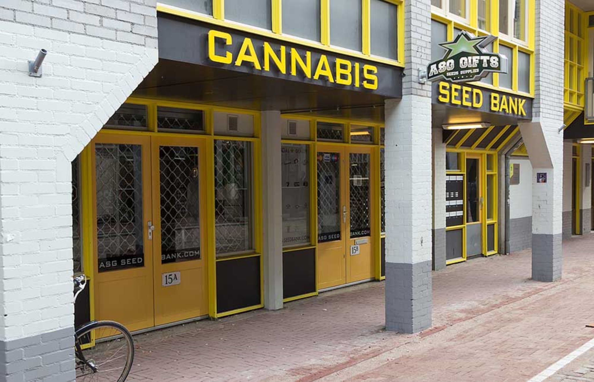 Can You Trust Online Cannabis Seed Banks?