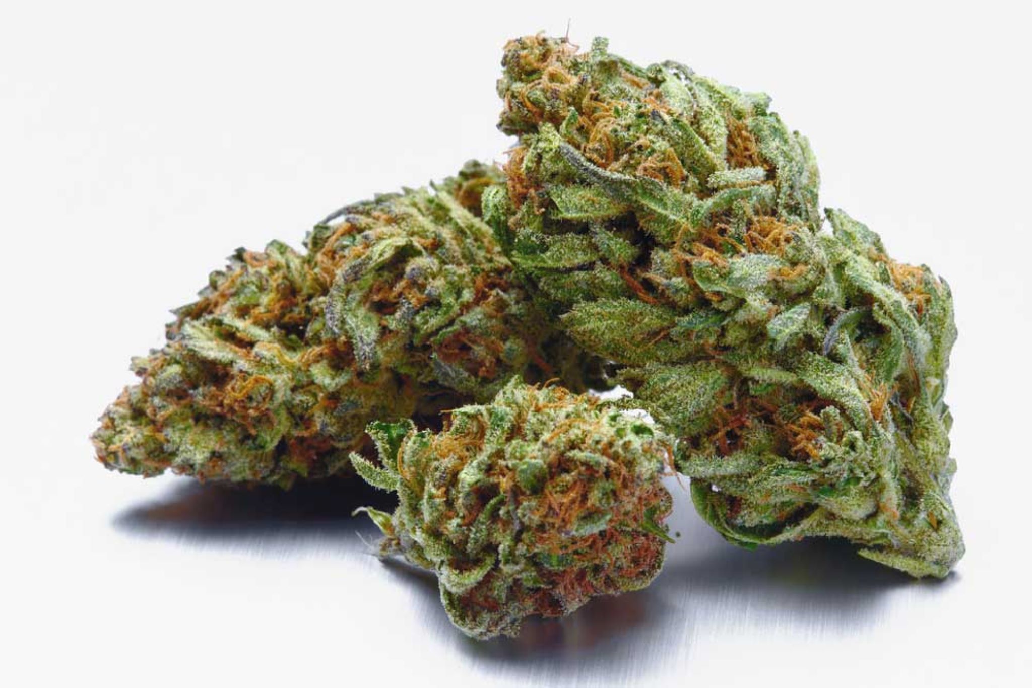 How Many Strains of Weed are There?