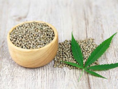 The Role of Marijuana Seed Banks