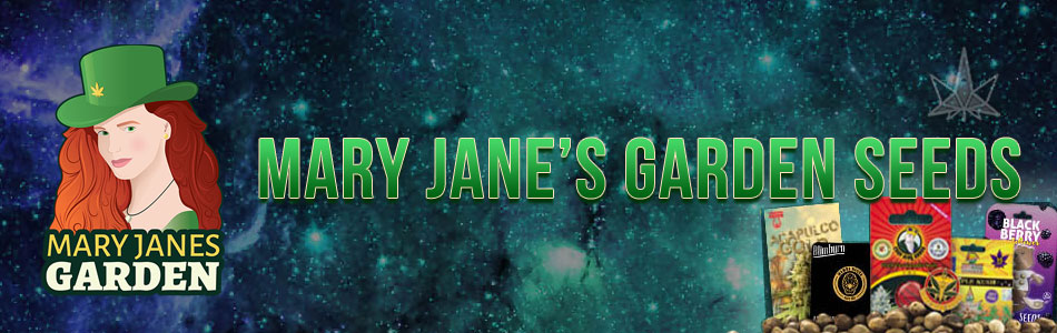 Mary Janes Garden Seeds