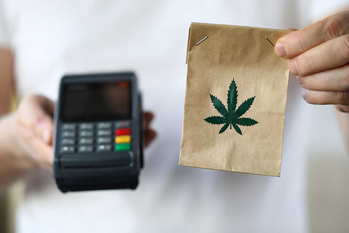 Tips in Choosing a Website When Buying Cannabis Seeds