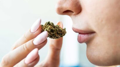 Top 10 Strongest Marijuana Strains