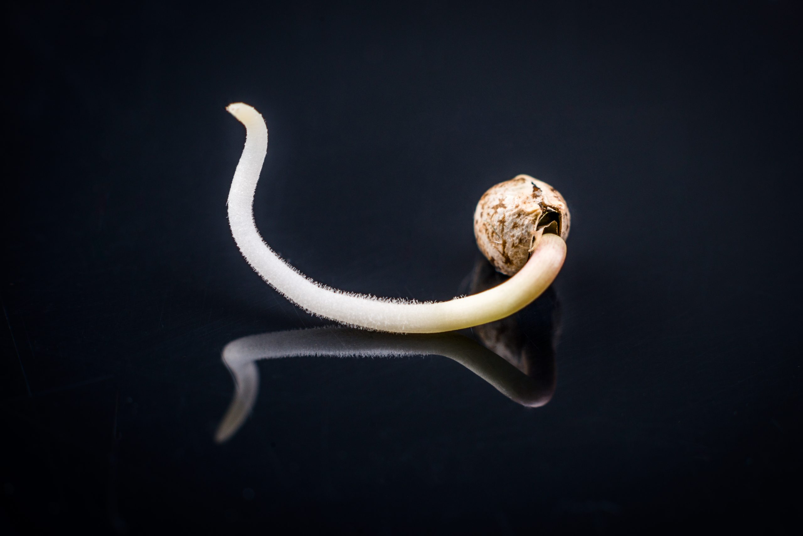 shutterstock 647020666 scaled 1