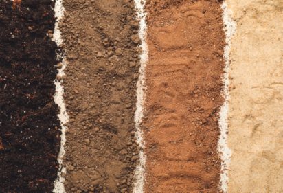 Finding the Right Soil For Your Plants