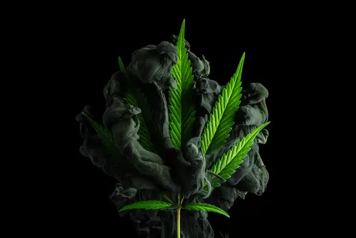 How to Stay Hydrated When Using Cannabis
