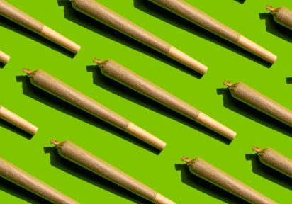 Our Top 5 Strains for the First Half of 2022