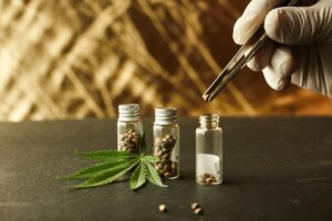 Diagnosing And Fixing Cannabis Leaf Symptoms - Rocket Seeds