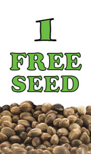 1 Free Seed