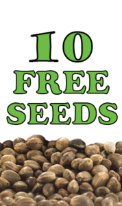 10 Free Seeds