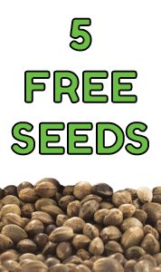 3 Free Seeds