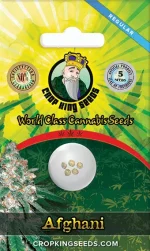 Afghani Regular