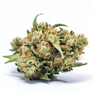 Alien OG Strain Feminized Cannabis Seeds