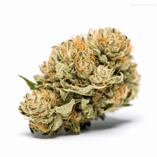Alien Technology Strain