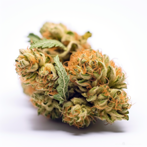 American Haze/ California Haze Feminized Cannabis Seeds