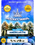 American Pie Strain Feminized Cannabis Seeds