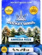 Amnesia Haze Feminized Cannabis Seeds