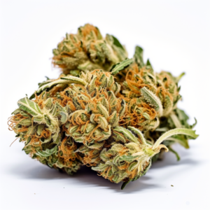 Badazz Cheese Strain Feminized Cannabis Seeds