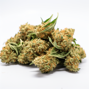 Baklava Strain Fast Version Cannabis Seeds 