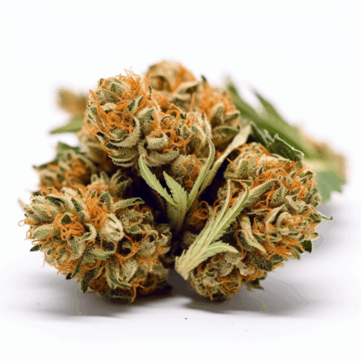 Blood Orange Kush