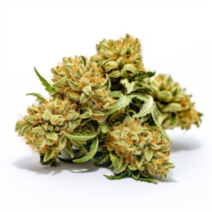 Blue Cheese Strain Feminized Cannabis Seeds