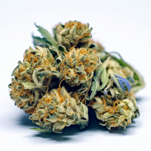 Blue Cookies Strain Feminized Cannabis Seeds