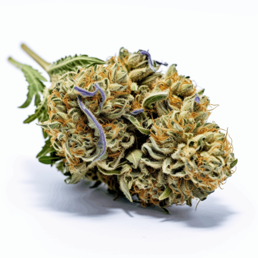 Blue Headband Strain