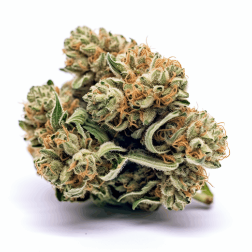 Blue OG Strain