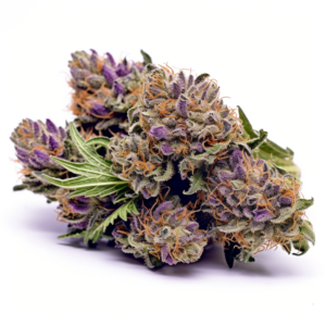 Blueberry Badazz OG Strain Feminized Cannabis Seeds